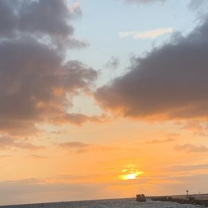 Meet your Posher, Nina